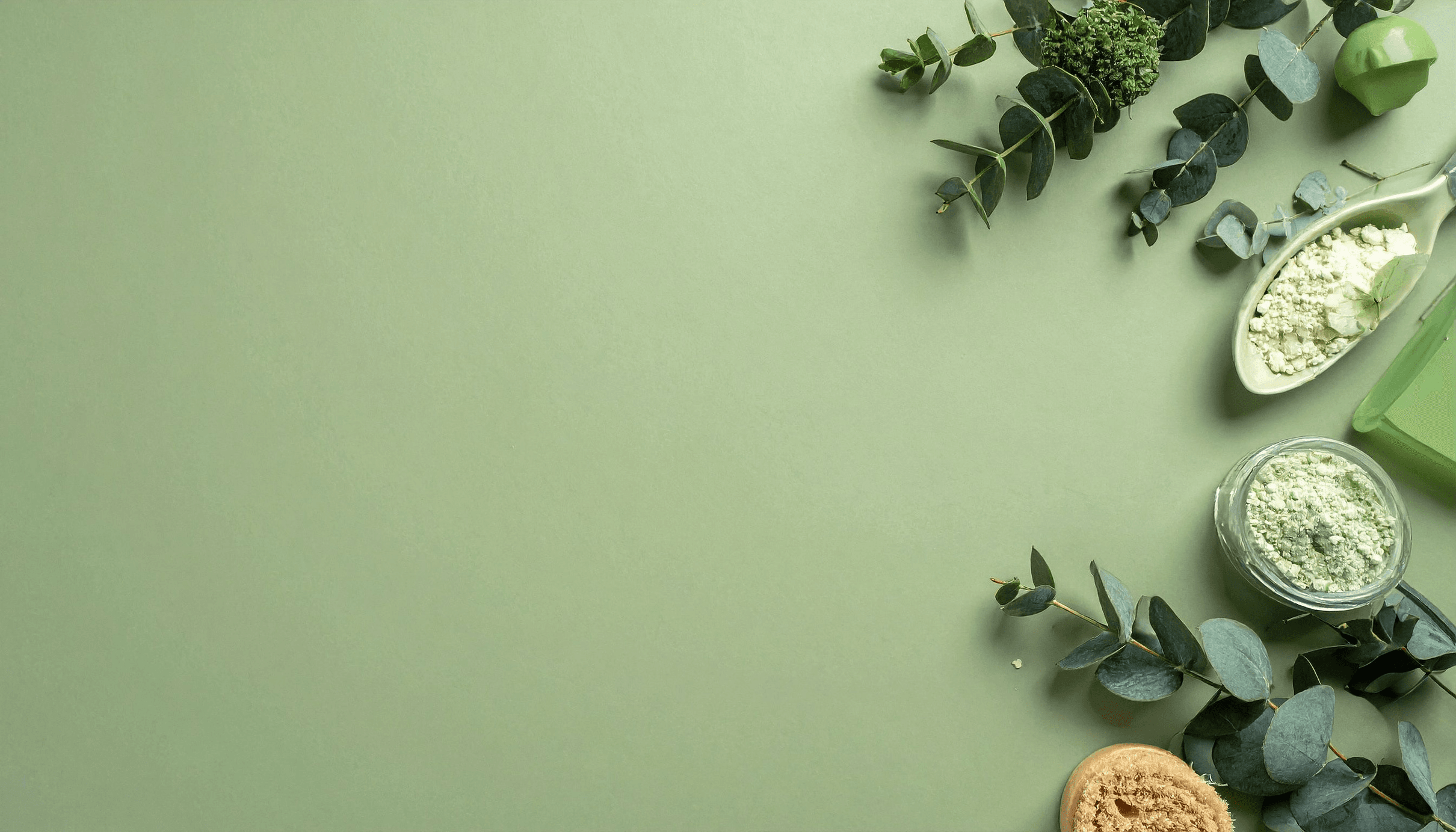 Botanical flat-lay of wellness ingredients